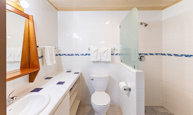 Master bathroom